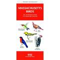 Waterford Press Massachusetts Birds Book: An Introduction to Familiar Species State Nature Guides WFP1583551523